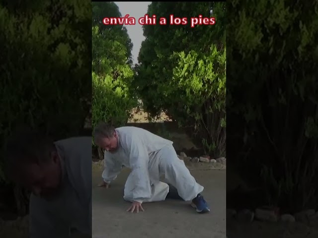 Vídeo relacionado con Zapatos de Kung Fu de Beijing Antiguos, Zapatos Unisex de Artes Marciales Tradicionales de Tai Chi con Parte Superior de Lona y Suela de Goma Antideslizante,duraderos y con diseño Cultural. Size 43