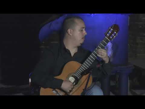 Aleksandar Stojić gitara