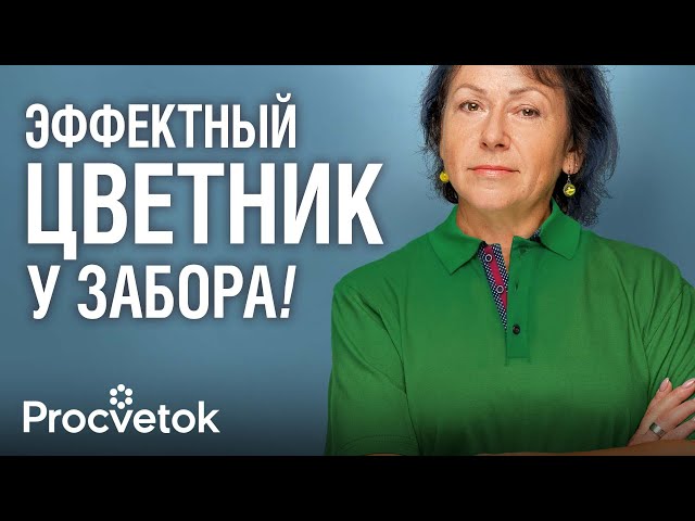 ЧТО ПОСАДИТЬ ВДОЛЬ ЗАБОРА? ТОП-10 эффектных растений, которые мигом преобразят любой забор