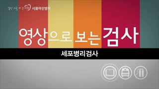 세포병리검사 미리보기