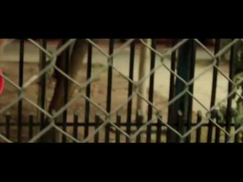 Bascur - Querida Maldita ( Orlath Beat - Scratch Dj Sonicko ) - (Video Oficial)