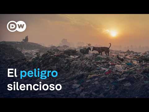 ¿Cómo podemos resolver la crisis del plástico? | DW Documental