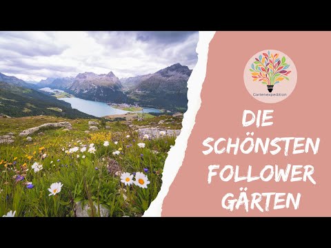 2 Naturgärten im Check: Von englischer Struktur zur alpinen Wildnis