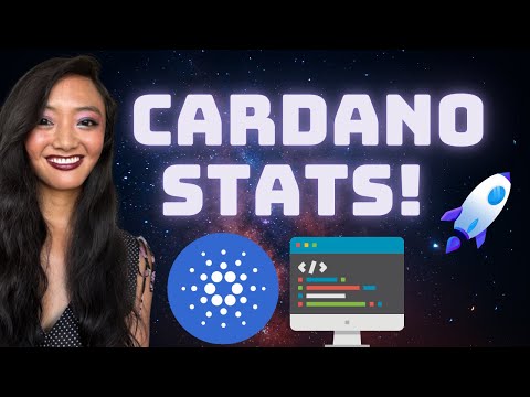 Cardano Dev Updates & Stats! | Scaling Improvements