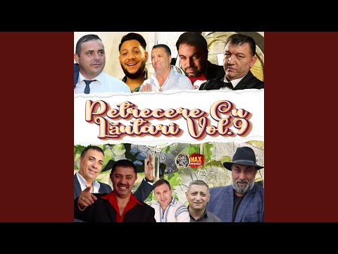 Petrecere Cu Lăutari Vol.