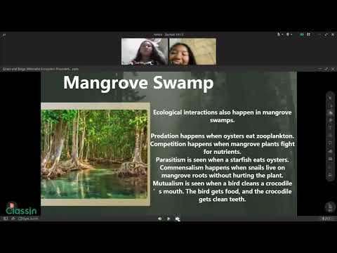 Ashira KINDS OF ECOSYSTEM