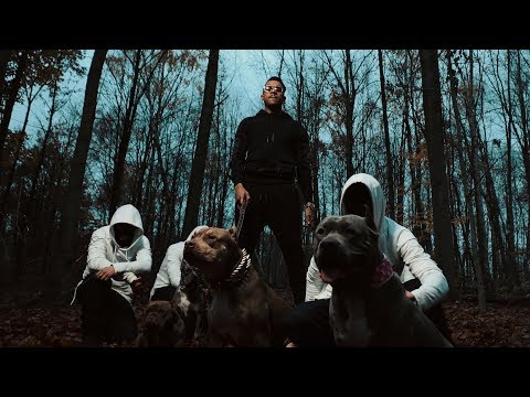 Timal La 12 Clip Officiel