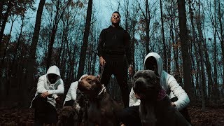 Timal - La 12 (Clip officiel)