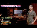 WADER PITAK DIAN ANIC DJ TARLING REMIX