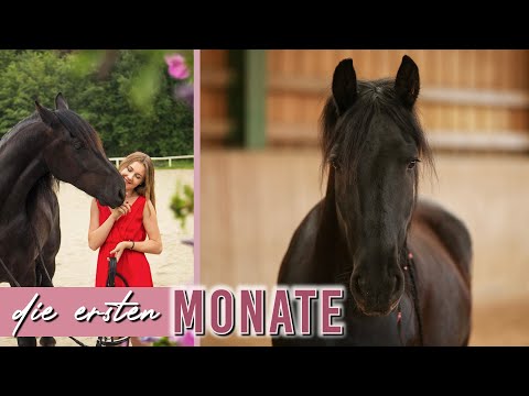 MEIN ERSTES PFERD | Unsere Anfangszeit | Trennungsangst, Hufspalt & Einreiten | Pilsali