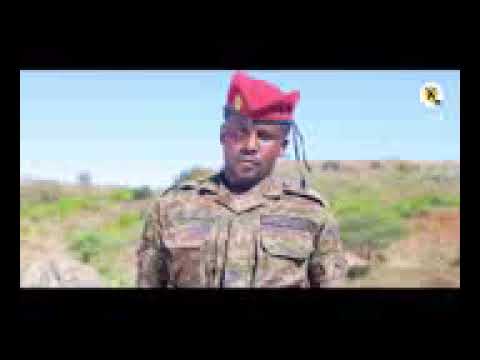 ተመቸ ንጉስ እነ ልክ አያውቁ