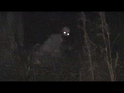 12 SCARIEST VIDEOS You’ll Regret Watching Alone