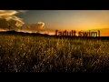 Adult Swim Bumpers Tycho Compilation