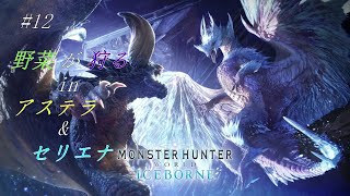 【参加自由】#12 野菜が狩る in アステラ&セリエナ【PC版モンスターハンターワールド：アイスボーン】