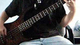 311 &quot;Getting Through To Her&quot; bass cover