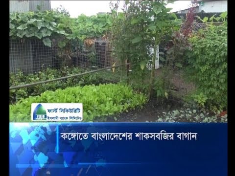 কঙ্গোতে বাংলাদেশের শাকসবজির বাগান