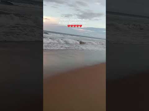 #beachatevening #kadalkarai #kadaliorukaadhal #kadhalilorukaviyam #🏖️🌊🤘🏻🫰🏻🫶🏻🥰😍