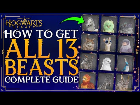 Hogwarts Legacy - How To Get ALL BEASTS - Complete Guide On All Beast Den Locations & How To Tame
