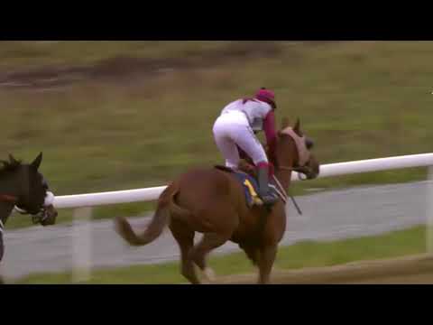 Lopp 2, 19 November 2017 - Bro Park