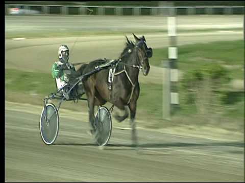 Trotto 10/03/2017 - 8ª corsa