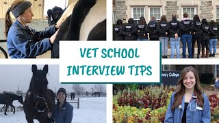 HOW TO ACE YOUR VET SCHOOL INTERVIEW: MMI + CASPer Tips!