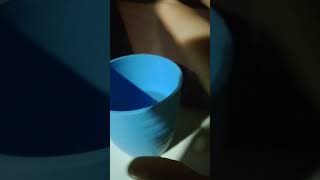 Download lagu 14 de agosto de 2024 mp3