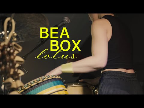 Bea Box - Lotus - Live
