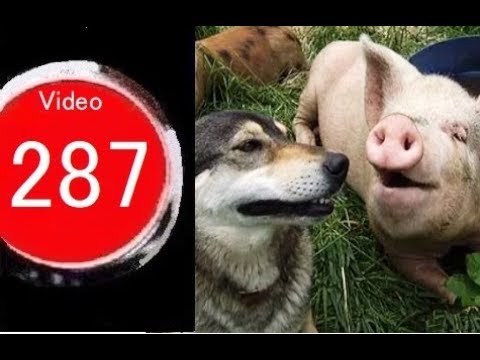 I really didn't expect this.