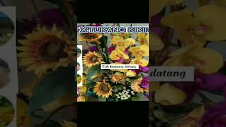 Download lagu Story wa Arti Kawan mp3