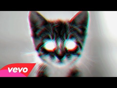 Catnip Trip 😻 Official Music Video