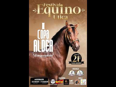 I COPA ALDEA FESTIVAL EQUINO UTICA - CUNDINAMARCA - ASDEPASO 2026.