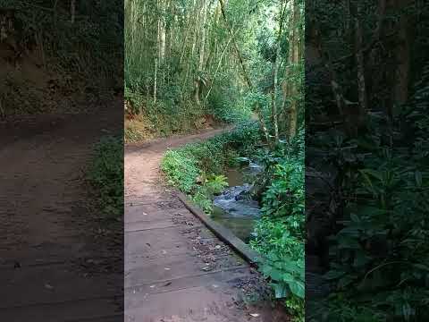 Corredeiras no interior de MG 🌿 Som da natureza