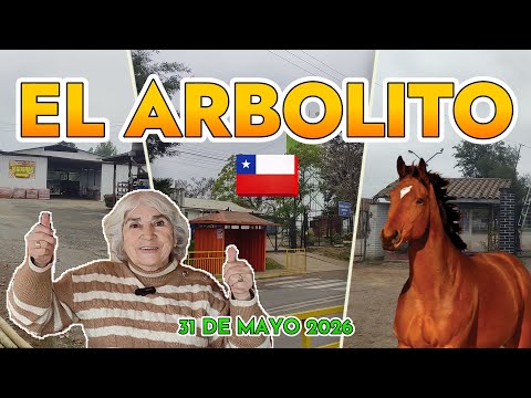 El arbolito 31 de Mayo 2026 Región del Maule