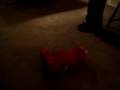 Elmo Tickled