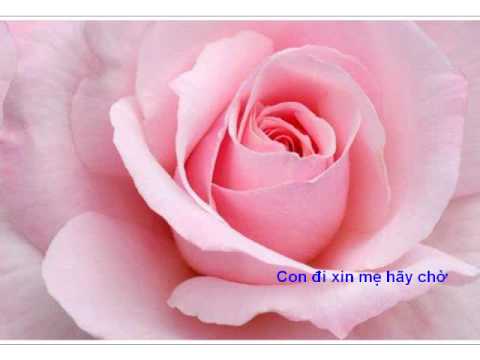 Đổi Cả Thiên Thu Tiếng Mẹ Cười - Nhạc Võ Tá Hân - Thơ Trần Trung Đạo