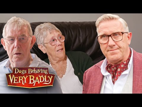 My Parents Tried Everything... Our Dog Still HATES Them!