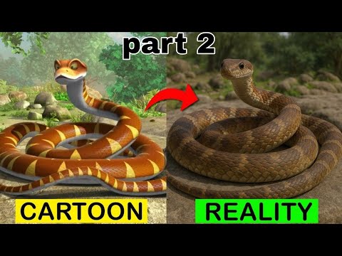 Jungle Book Cartoon vs Real Life 🤯 | Baloo, Bagheera, Mowgli Real Version | Part 2