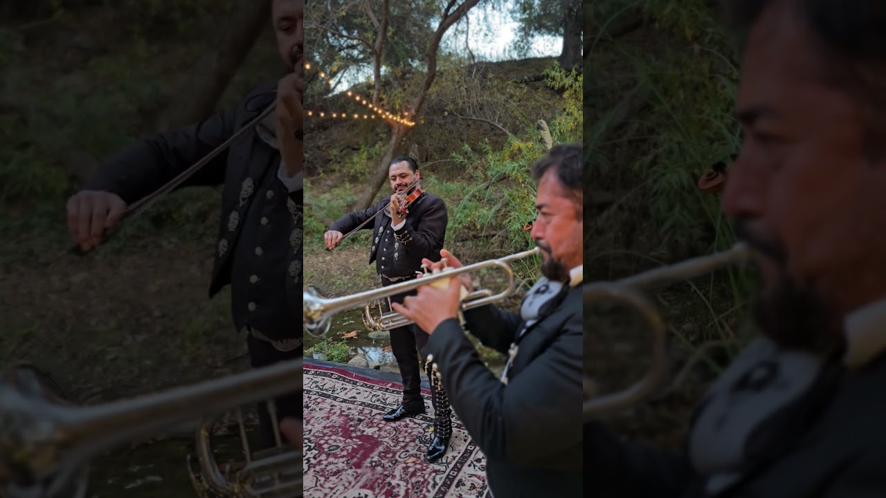 Promotional video thumbnail 3 for Mariachi Canciones De Mi Tierra