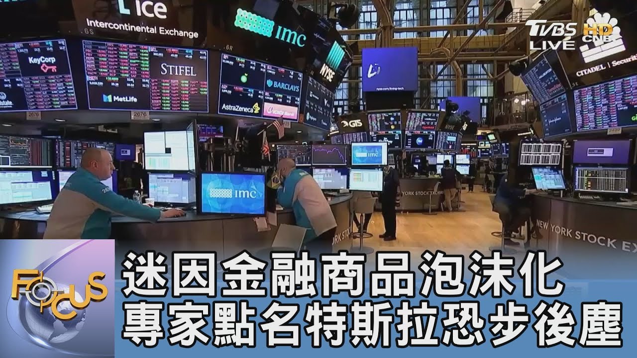 迷因金融商品泡沫化 專家點名特斯拉恐步後塵