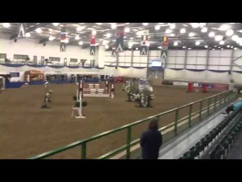 Money spider v coral championship first round blue chip cha