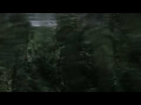 Sleepless night mix // Aphex Twin, Four Tet, Memo boy, AFX, Boards of Canada, Burial, Causingfest