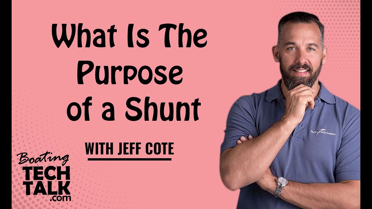 What Is The Purpose of a Shunt?