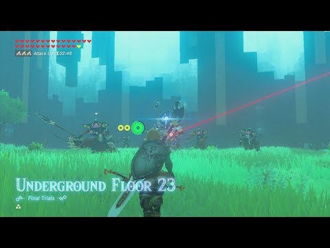 Trial of the Sword DLC: The Final Trials (Master Mode) Zelda BotW