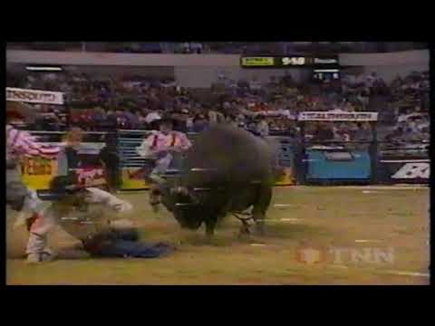 Blue Apparatus bucks Casey Gates - 98 PBR Worcester