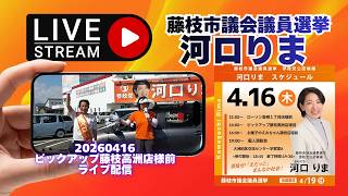 参政党【河口りま】藤枝市議会議員選挙🍊藤枝市議会議員候補　#河口りま#参政党
