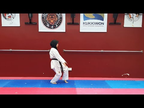 SENIOR FINAL TAEBEAK - NADHIRAH