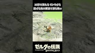 【ブレワイ】爆速で滑ってリンクから逃げる馬ｗｗ【ゼルダの伝説 ブレス オブ ザ ワイルド】