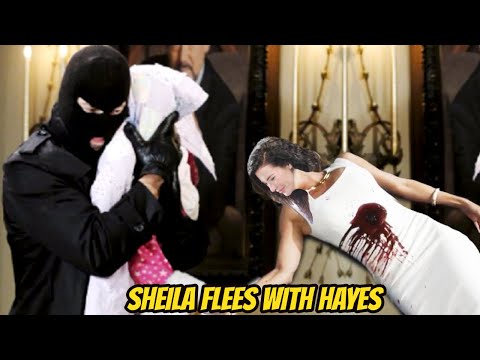 Steffy Attacked - Sheila flees with Hayes The Bold and the Beautiful Spoilers