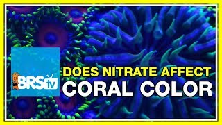 FAQ #33: How do nitrates affect coral coloration in the reef aquarium?