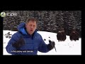 Wild Kratts Ending And End Credits From Musk Ox Mania 2017